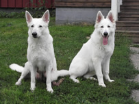 Stella & Demi 6 Monate